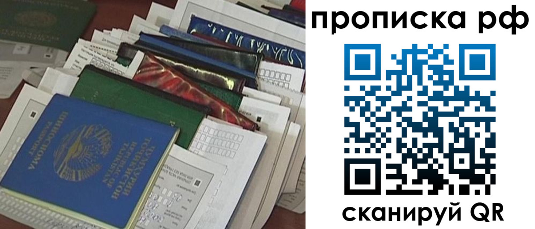 прописка в Гвардейске